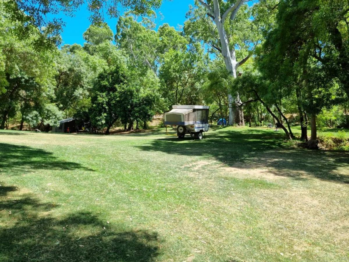 Belair National Park Holiday Park מראה חיצוני תמונה
