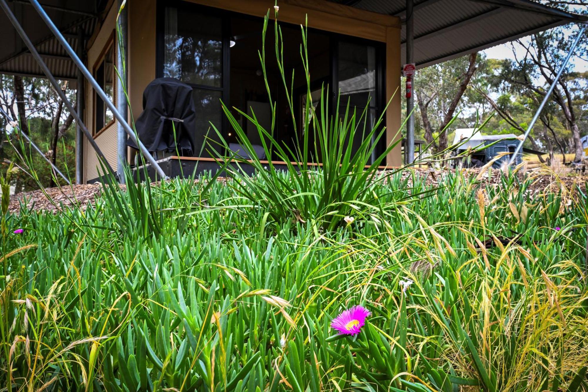 Belair National Park Holiday Park מראה חיצוני תמונה
