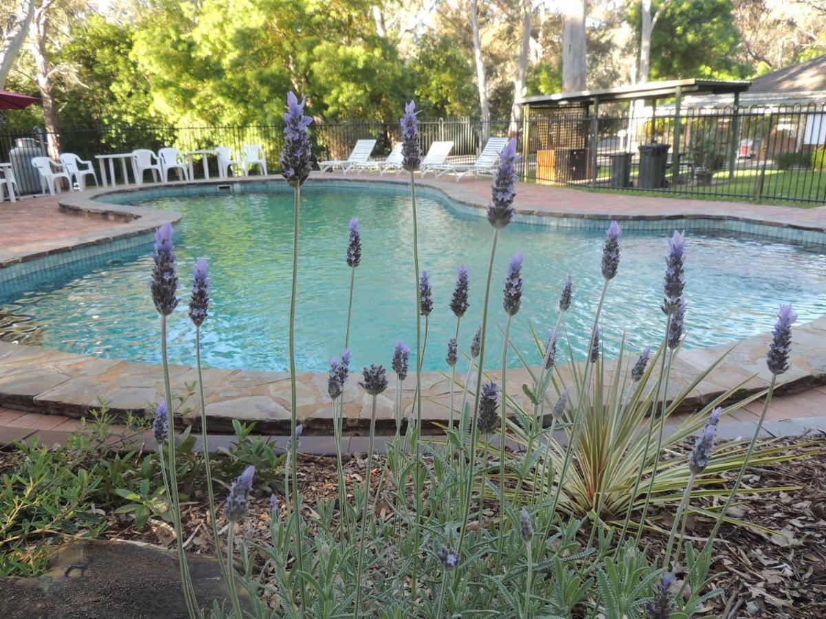 Belair National Park Holiday Park מראה חיצוני תמונה