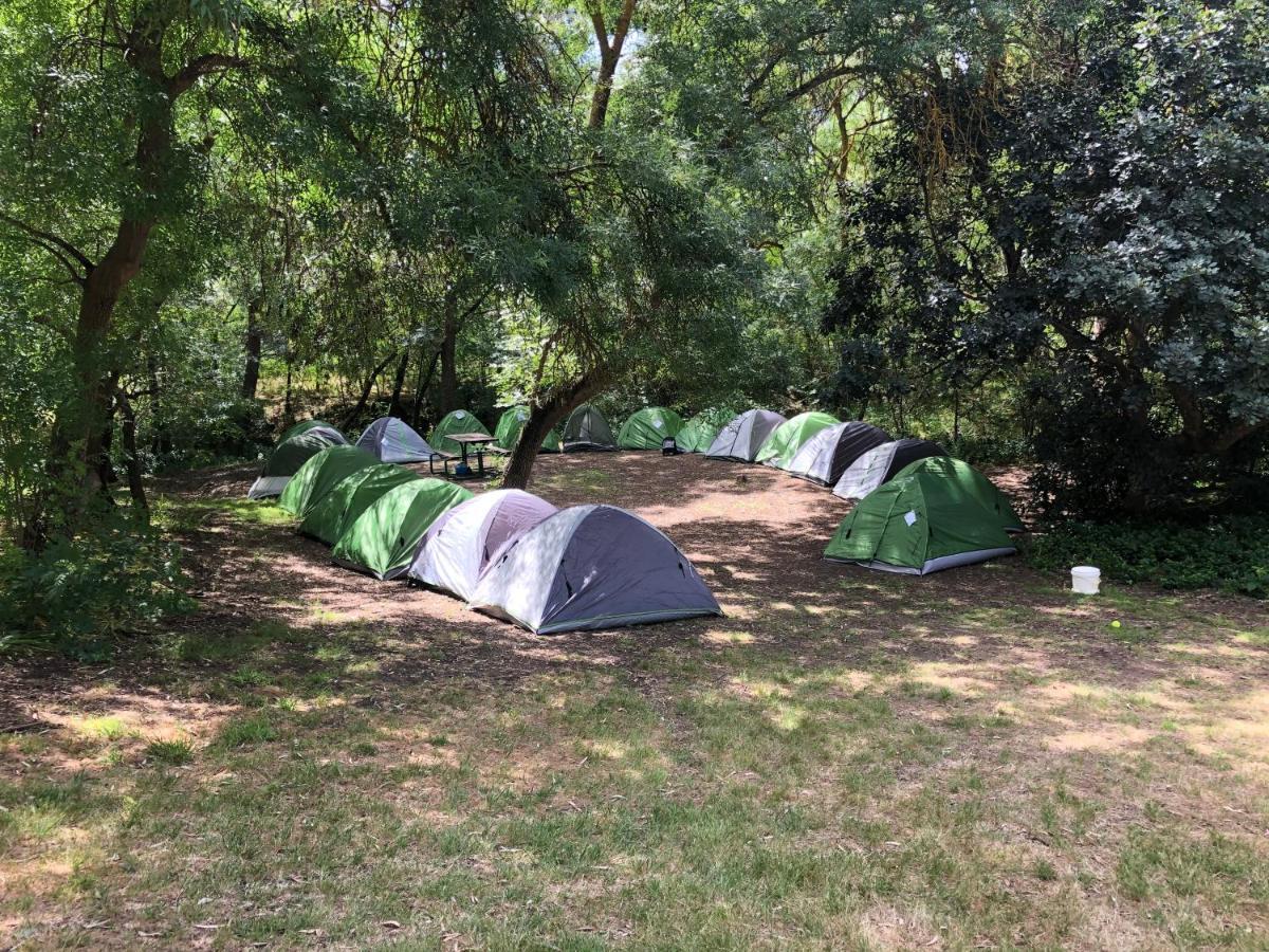 Belair National Park Holiday Park מראה חיצוני תמונה