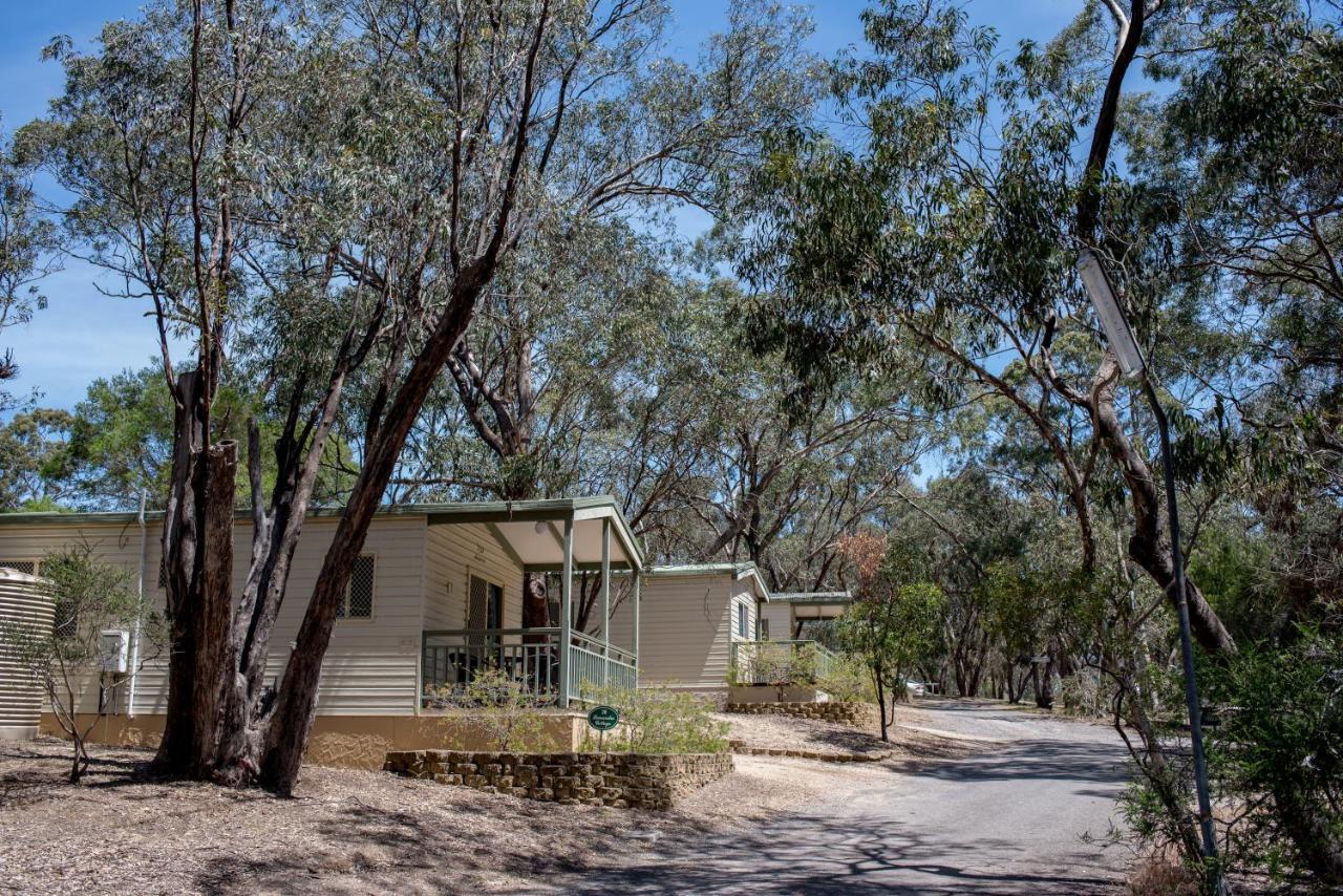 Belair National Park Holiday Park מראה חיצוני תמונה
