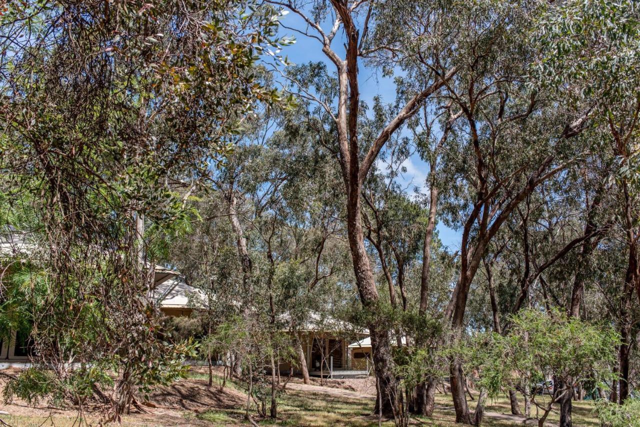 Belair National Park Holiday Park מראה חיצוני תמונה
