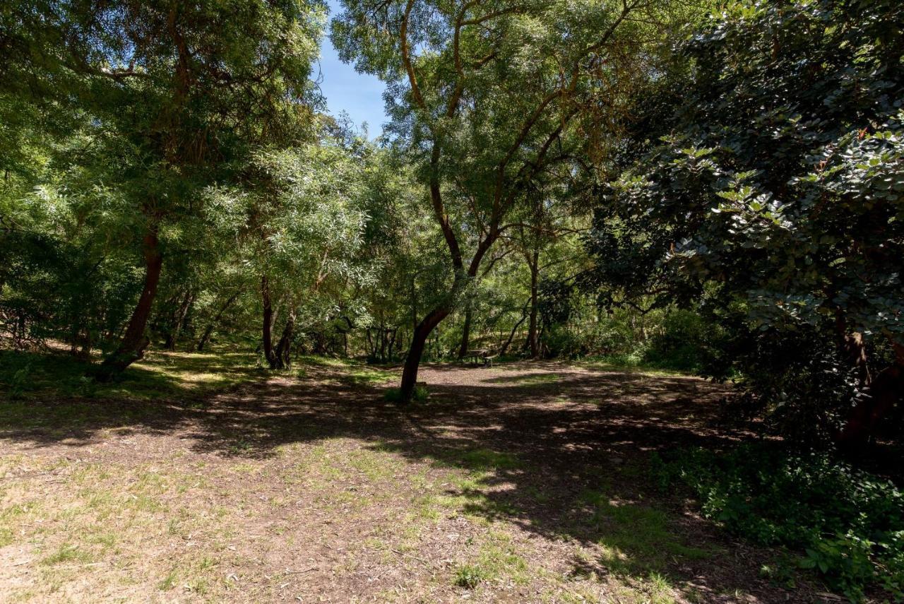 Belair National Park Holiday Park מראה חיצוני תמונה